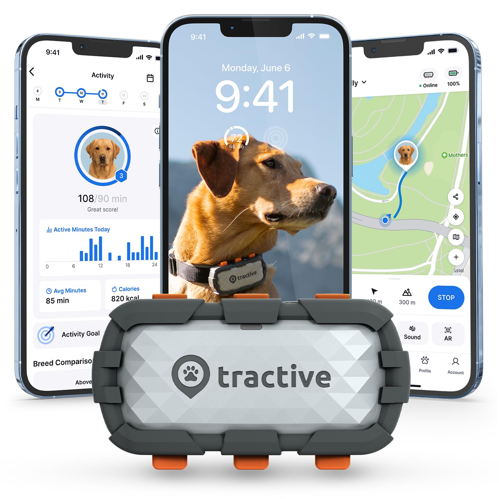 Amazon.com: Tractive XL Smart Dog GPS Tracker | Live Pet
